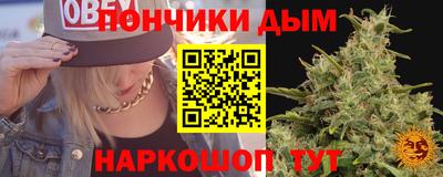 наркотики Камышлов
