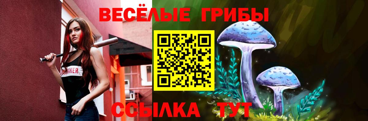 Псилоцибиновые грибы мицелий  Вход с VPN  Якутск  что такое   Псилоцибиновые грибы MAGIC MUSHROOMS 